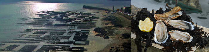 Huitres Cancale