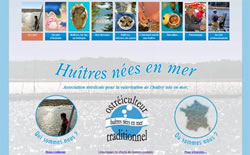 huitres nées en mer