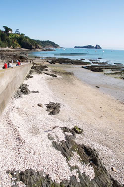 degustation huitres cancale - vente en ligne