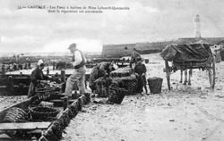 Cancale huitres de bretagne - vente en ligne