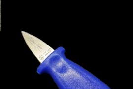 huitres-du-producteur