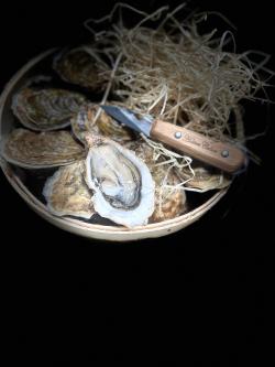 conservation des huitres