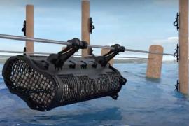 bourriche d'huitres spéciales