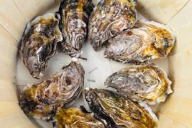 la speciale Maréliane