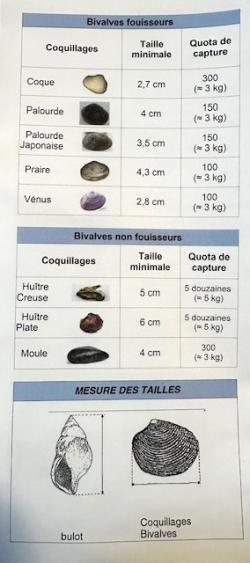 huitres-du-producteur