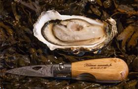 Commander en ligne couteau et huitre cancale