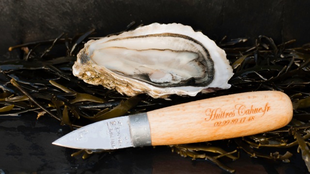 Couteau à huîtres professionnel de Cancale